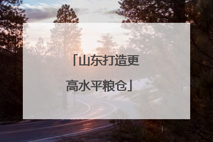 山东打造更高水平粮仓