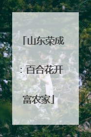 山东荣成：百合花开富农家