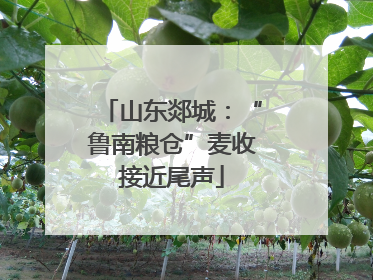 山东郯城：“鲁南粮仓”麦收接近尾声