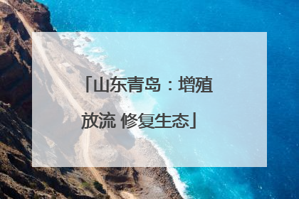 山东青岛：增殖放流 修复生态