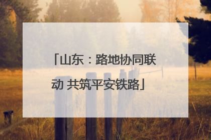 山东：路地协同联动 共筑平安铁路