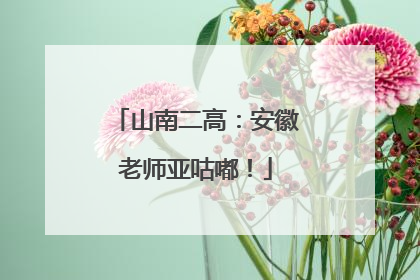 山南二高：安徽老师亚咕嘟！