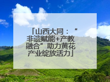 山西大同：“非遗赋能+产教融合”助力黄花产业绽放活力