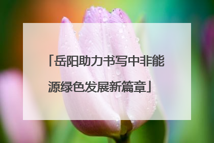 岳阳助力书写中非能源绿色发展新篇章