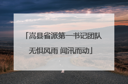 嵩县省派第一书记团队 无惧风雨 闻汛而动