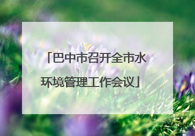 巴中市召开全市水环境管理工作会议
