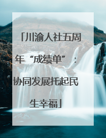 川渝人社五周年“成绩单”：协同发展托起民生幸福