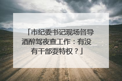 市纪委书记现场督导酒醉驾夜查工作：有没有干部耍特权？
