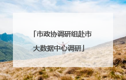 市政协调研组赴市大数据中心调研