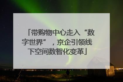 带购物中心走入“数字世界”，京企引领线下空间数智化变革