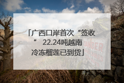 广西口岸首次“签收” 22.24吨越南冷冻榴莲已到货
