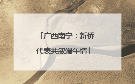 广西南宁：新侨代表共叙端午情