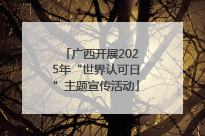 广西开展2025年“世界认可日”主题宣传活动