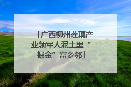 广西柳州莲藕产业领军人泥土里“掘金”富乡邻