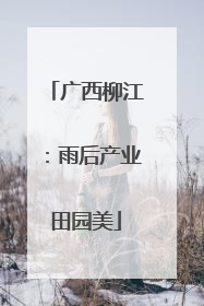 广西柳江：雨后产业田园美