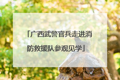 广西武警官兵走进消防救援队参观见学