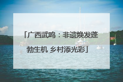 广西武鸣：非遗焕发蓬勃生机 乡村添光彩