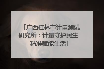 广西桂林市计量测试研究所：计量守护民生 精准赋能生活