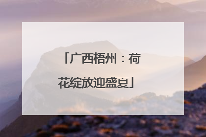 广西梧州：荷花绽放迎盛夏