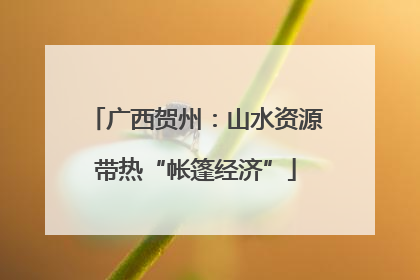 广西贺州：山水资源带热“帐篷经济”