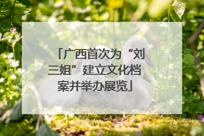 广西首次为“刘三姐”建立文化档案并举办展览