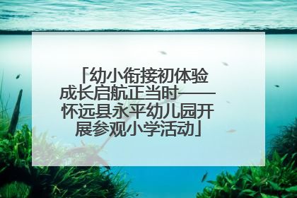 幼小衔接初体验 成长启航正当时——怀远县永平幼儿园开展参观小学活动