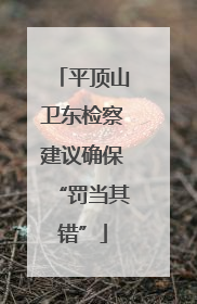平顶山卫东检察建议确保“罚当其错”
