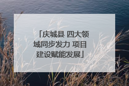 庆城县 四大领域同步发力 项目建设赋能发展