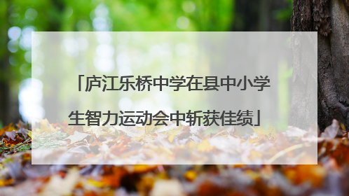 庐江乐桥中学在县中小学生智力运动会中斩获佳绩