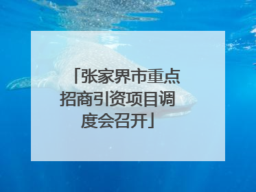 张家界市重点招商引资项目调度会召开
