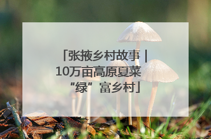 张掖乡村故事｜10万亩高原夏菜“绿”富乡村