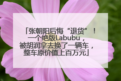 张朝阳后悔“退货”！一个绝版Labubu，被胡润拿去换了一辆车，整车原价值上百万元