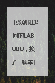 张朝阳退回的LABUBU，换了一辆车