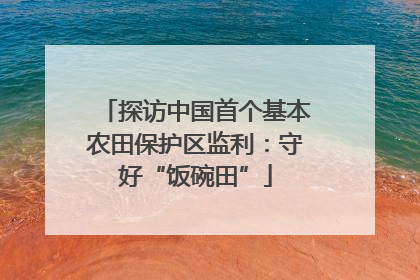 探访中国首个基本农田保护区监利：守好“饭碗田”