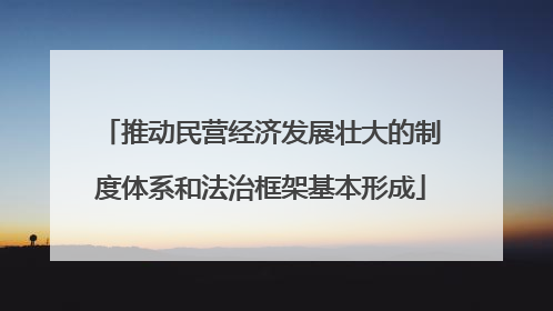 推动民营经济发展壮大的制度体系和法治框架基本形成