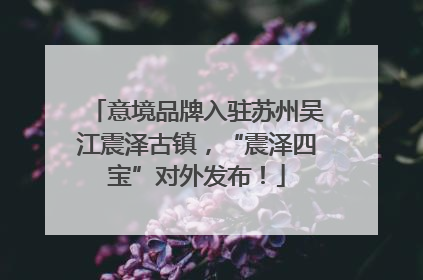 意境品牌入驻苏州吴江震泽古镇，“震泽四宝”对外发布！