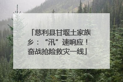 慈利县甘堰土家族乡：“汛”速响应！奋战抢险救灾一线