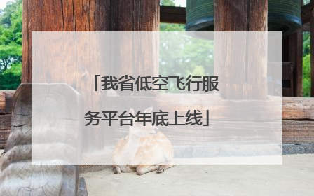 我省低空飞行服务平台年底上线