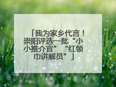 我为家乡代言！崇阳评选一批“小小推介官”“红领巾讲解员”