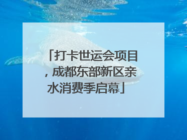 打卡世运会项目，成都东部新区亲水消费季启幕