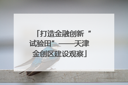 打造金融创新“试验田”——天津金创区建设观察