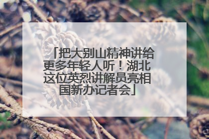 把大别山精神讲给更多年轻人听！湖北这位英烈讲解员亮相国新办记者会