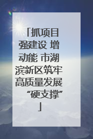 抓项目 强建设 增动能 市湖滨新区筑牢高质量发展“硬支撑”
