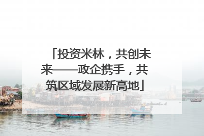 投资米林，共创未来——政企携手，共筑区域发展新高地