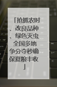 抢抓农时、改良品种、绿色灭虫 全国多地争分夺秒确保夏粮丰收