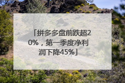 拼多多盘前跌超20%，第一季度净利润下降45%