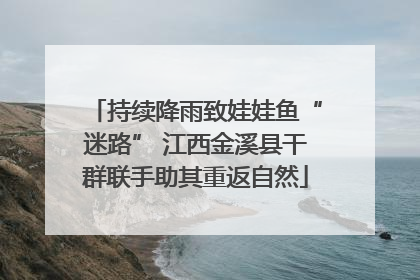 持续降雨致娃娃鱼“迷路” 江西金溪县干群联手助其重返自然