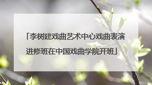 李树建戏曲艺术中心戏曲表演进修班在中国戏曲学院开班