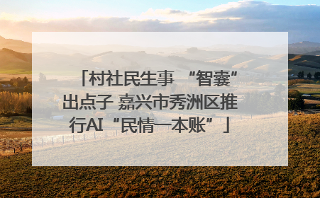 村社民生事 “智囊”出点子 嘉兴市秀洲区推行AI“民情一本账”