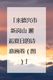 来德兴市新岗山 邂逅夏日的诗意画卷（图）